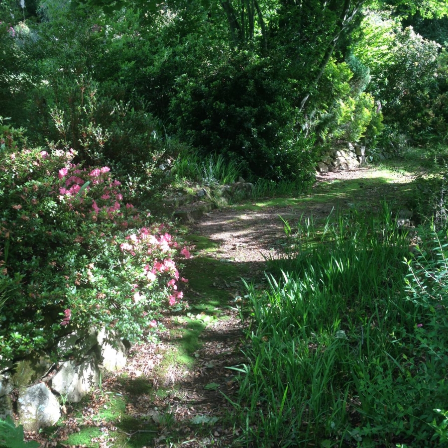 3 Bedroom Property for Sale in Hogsback Eastern Cape